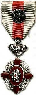Dutch Service Medal (1st Class)
