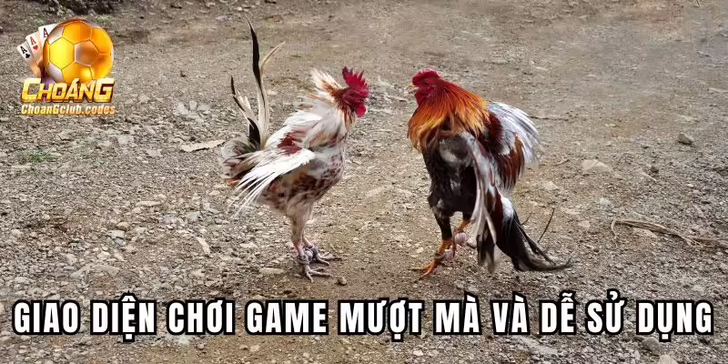 Giao diện chơi game mượt mà và dễ sử dụng Giao diện chơi game mượt mà và dễ sử dụng