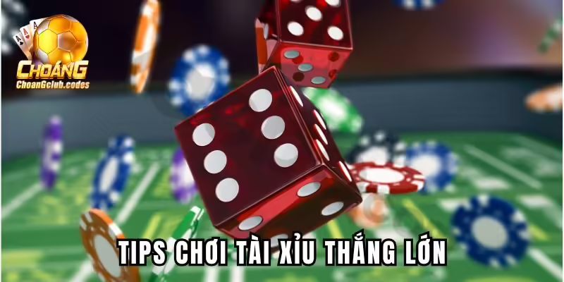 Tips chơi Tài Xỉu thắng lớn Tips chơi Tài Xỉu thắng lớn